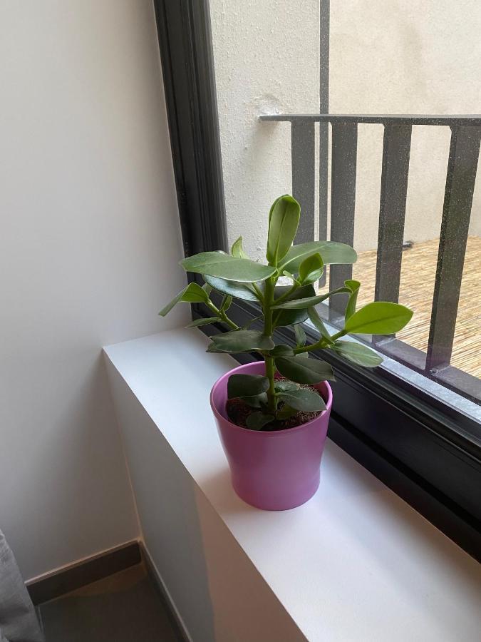 Joli Petit Nid Douillet En Centre Ville La Rochelle  Exteriér fotografie
